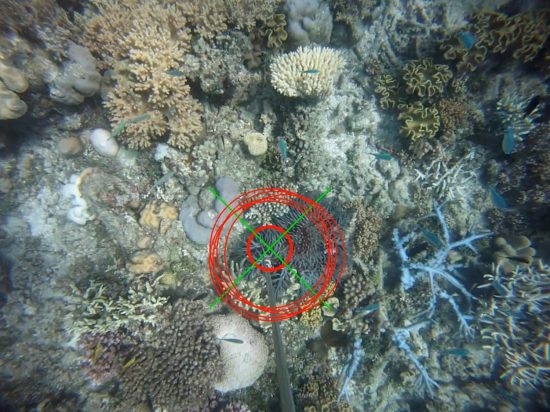 18.5 (c) COTSbot fighting crown-of-thorns starfish (c) QUT Media
