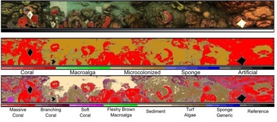 58.2 (c) The result of the analysis is a map of the reef. (c) Dr Arjun Chennu, Max Planck Institute for Marine Microbiology