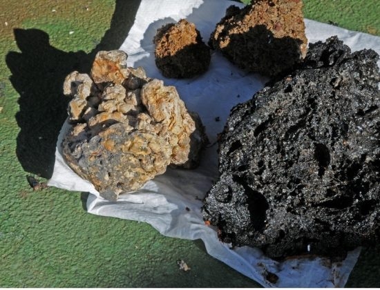 66.4 (c) Rock samples from the submarine volcano off El Hierro. Photo: Maike Nicolai, GEOMAR