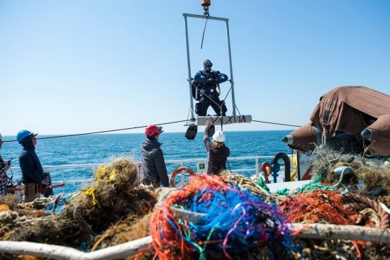 82.3 (c) Greenpeace activists and divers from the Dutch organisation Ghost Fishing recovering lost fishing nets (ghostnets) in the North Sea Sanctuary (Sylter Aussenriff) off Sylt. (c) Bente Stachowske / Greenpeace