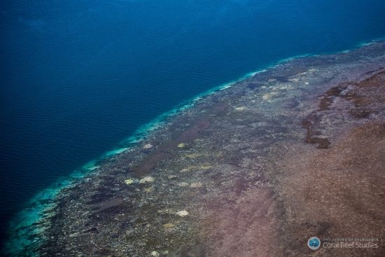 93.1 (c) Aerial survey of the 2016 Great Barrier Reef bleaching event (c) Coral CoE