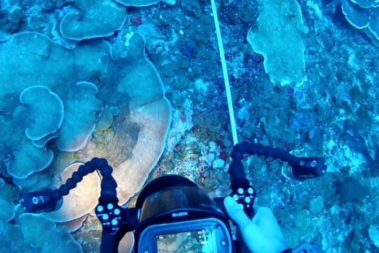 Help needed in quest to study deepwater coral reefs (c) Viktor Brandtneris, University of Virgin Islands