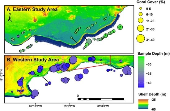 An example of the data produced using the drop camera methodology. (Figure taken from Smith et al. 2016) (c) Viktor Brandtneris, University of Virgin Islands
