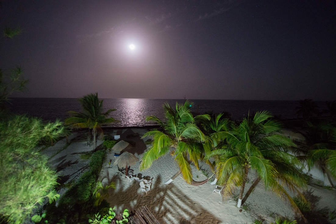 2 Paul SElvaggio (2) (c) A corals love night, full moon over the Riviera Maya, Mexico by Paul Selvaggio