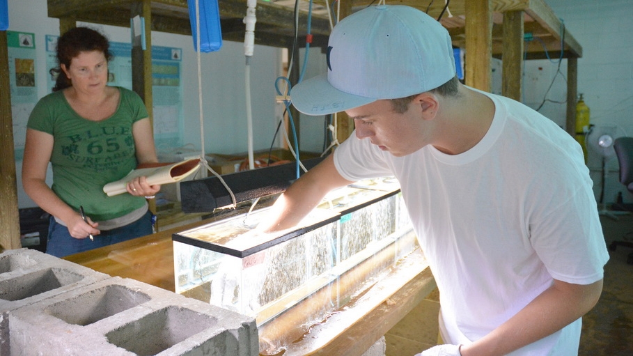 Sean McNally and his mentor at the Bermuda Institute of Ocean Sciences, Rachel Parsons, place corals in the tanks at the beginning of the experiment.