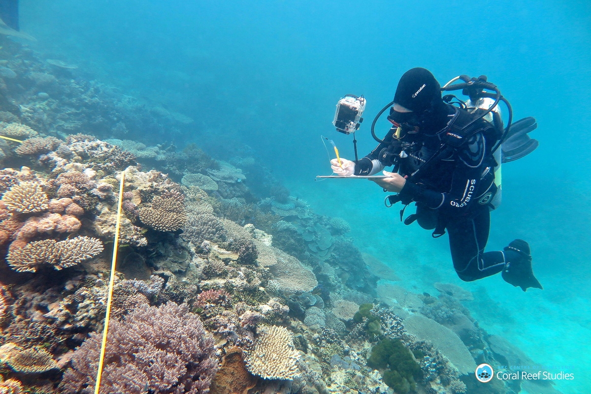 Researcher Grace Frank completes bleaching surveys, Southern GBR_Bildgröße ändern (c) Researcher Grace Frank completing bleaching surveys along a transect line, One Tree Reef, Capricorn Group of Islands, Southern Great Barrier Reef, November 2016.
(c) Tory Chase, ARC Centre of Excellence for Coral Reef Studies