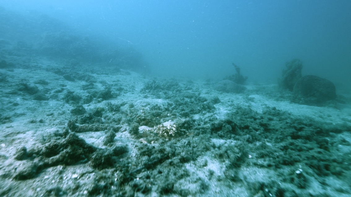 4 VCK (c) Devastated reef site with dead coral skeleton rubble, screenshot from SECORE – The Film, by Reef Patrol