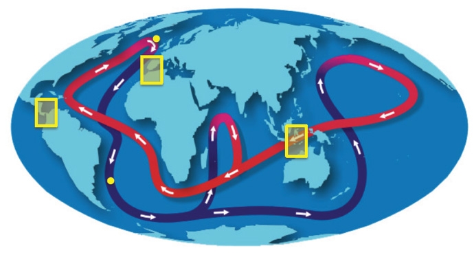 2017_02_11_Golfstrom_scie-rep-fig1 (c) Simplified representation of present-day global oceanic overturning circulation (Surface currents are in red, deep water masses in blue). The Central American landbridge, Indonesian Throughflow and the Strait of Gibraltar (yellow rectangles) have a vital function in the variability of the circulation pattern. The yellow dots indicate the drill cores used in this study. Map: © NOAA