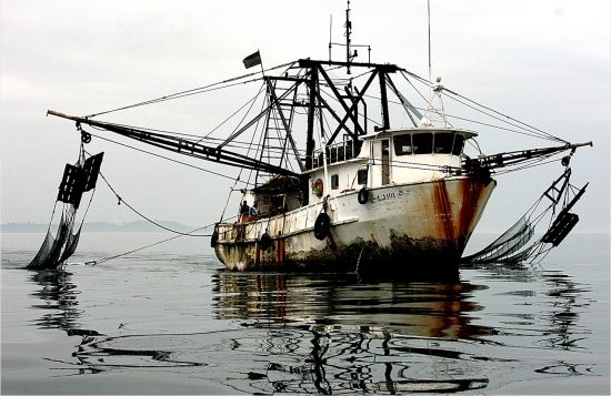 87.2 (c) Illegal Trawler (c) Mike Markovinathe/Pew Charitable Trusts