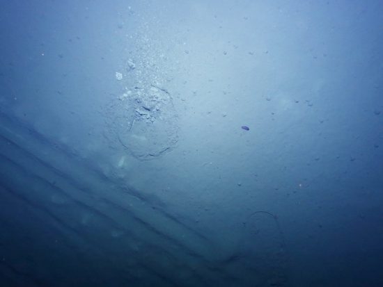 100.3 (c) One of the several 100,000 photos of the seafloor, taken by the AUV ABYSS. The plough marks from 1989 can be seen alongside the tracks of a subsequent sampling in the centre. (c) ROV-Team, GEOMAR