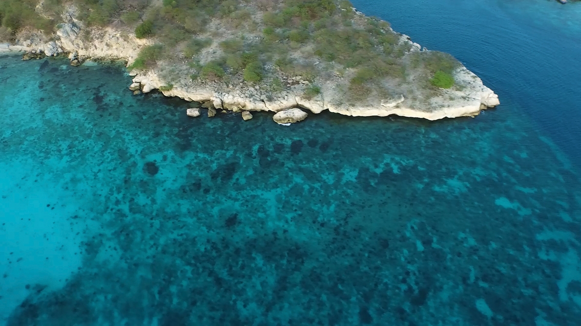 2 VCK (c) Coral reef aerial view, screenshot from SECORE – The Film, by Reef Patrol 