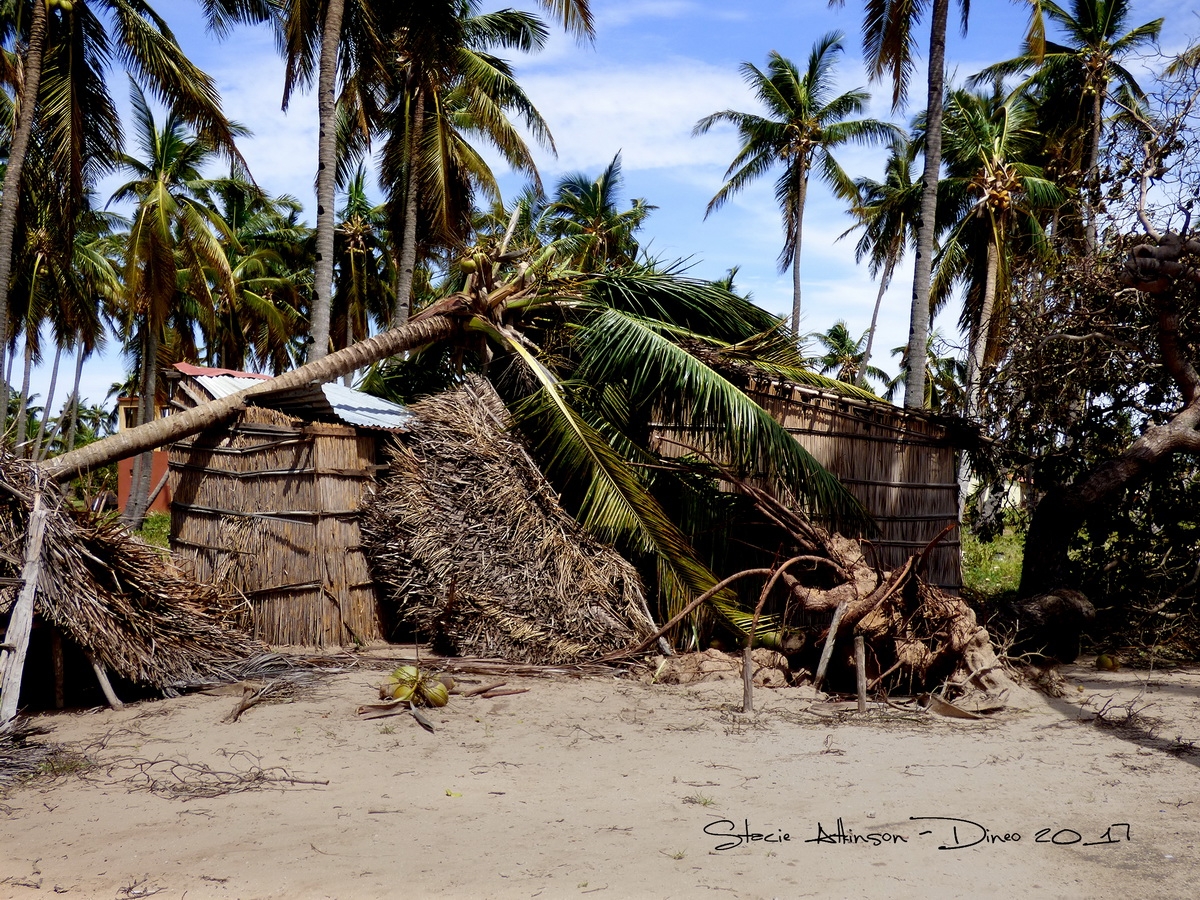 2017_02_23_zyklon-mosambik_Dineo_klein-2 (c) Diving mecca in Mozambique devastated by tropical storm
(c) Stacie Atkinson