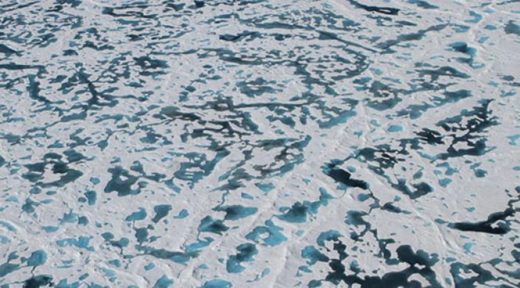 Melt ponds darken the surface of thinning Arctic sea ice, creating conditions friendly to algae blooms under the ice.
(c) NASA