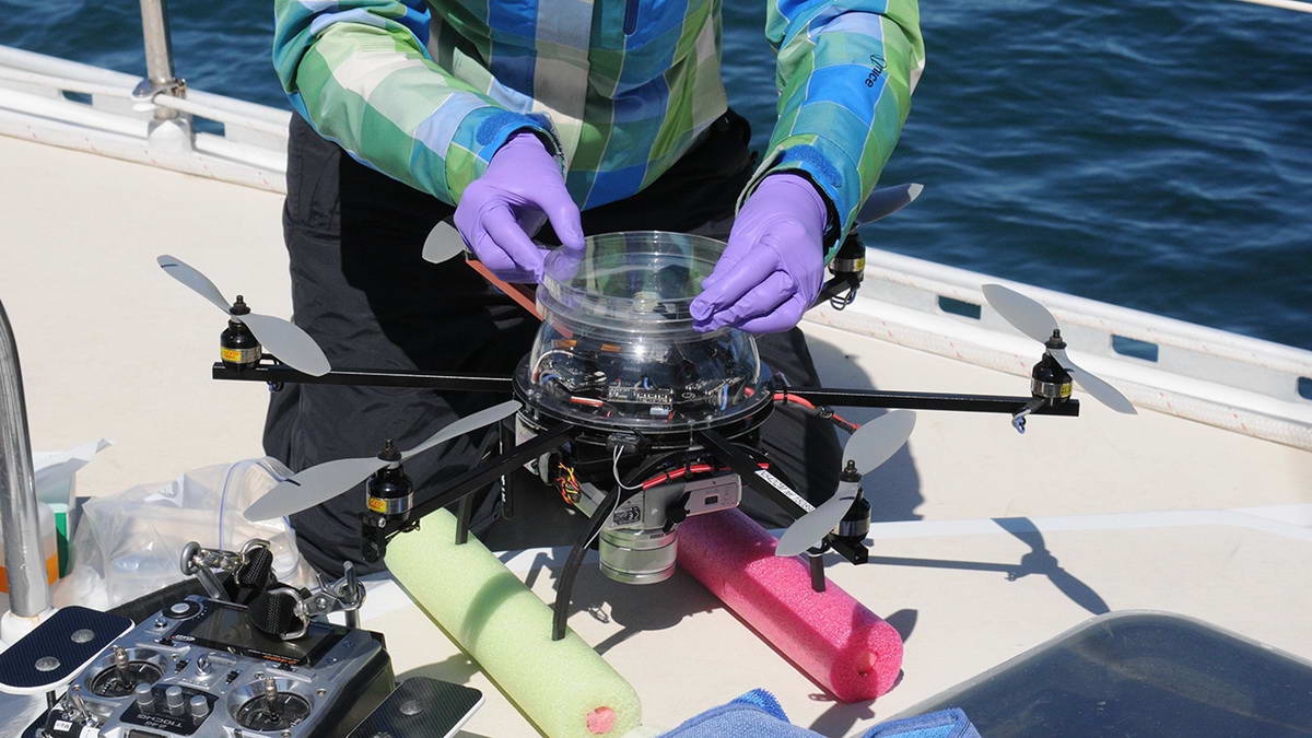The researchers attach a sterilized petri dish to the top of the hexacopter to collect some of the whale blow.
(c) Véroniqe LaCapra, WHOI 