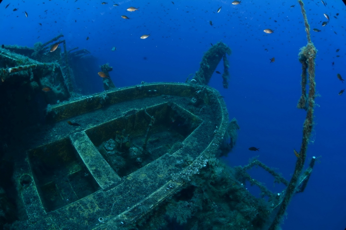 подводный мир кипра