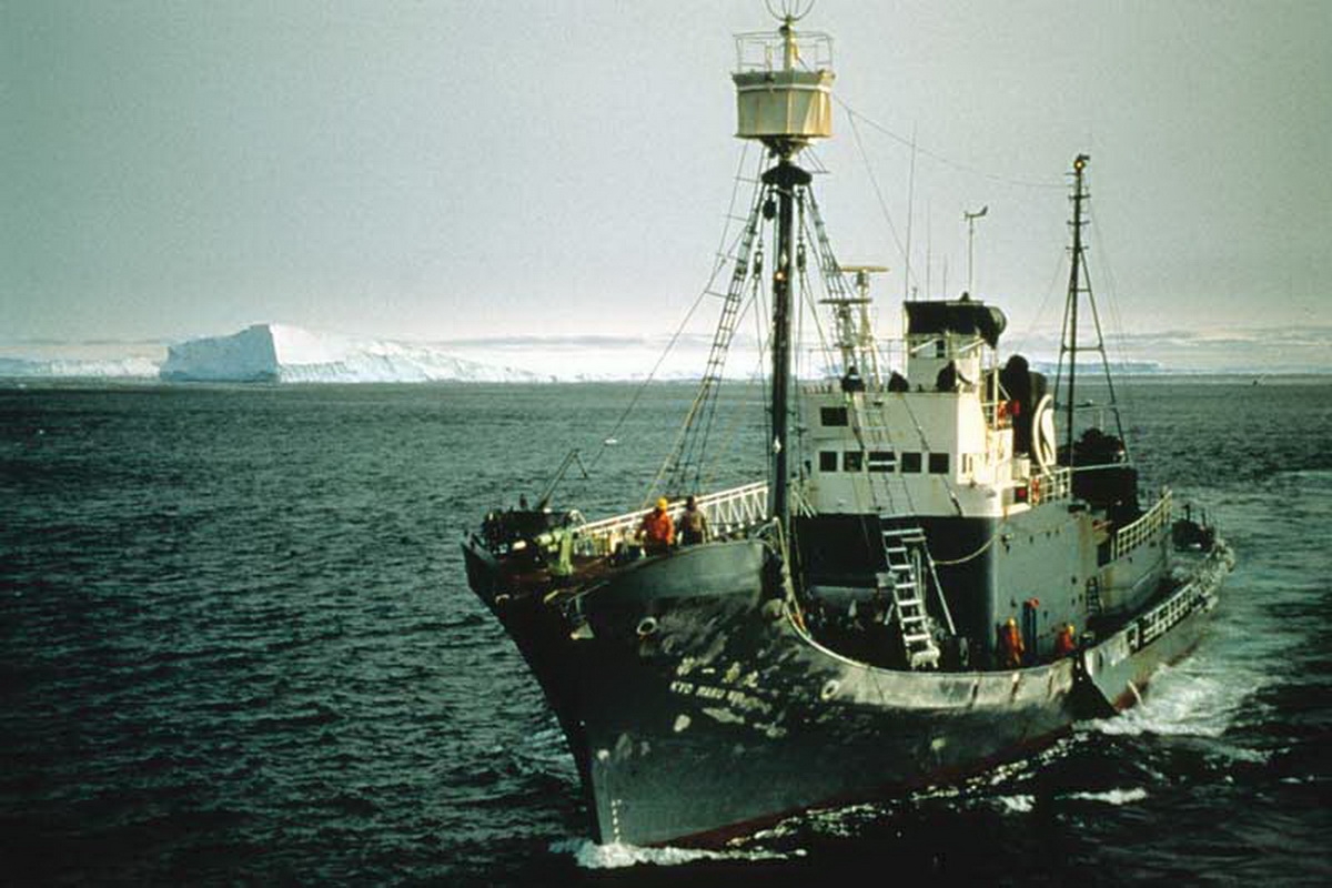 Japanese whaling ship
(c) Mark Votier, WDC