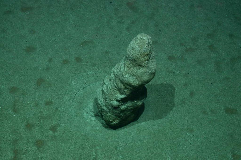 Kallksteinsaeule_Foto_MARUM (c) The investigated dome-shaped limestone deposit at 734 meters water depth; photo taken by the diving robot 