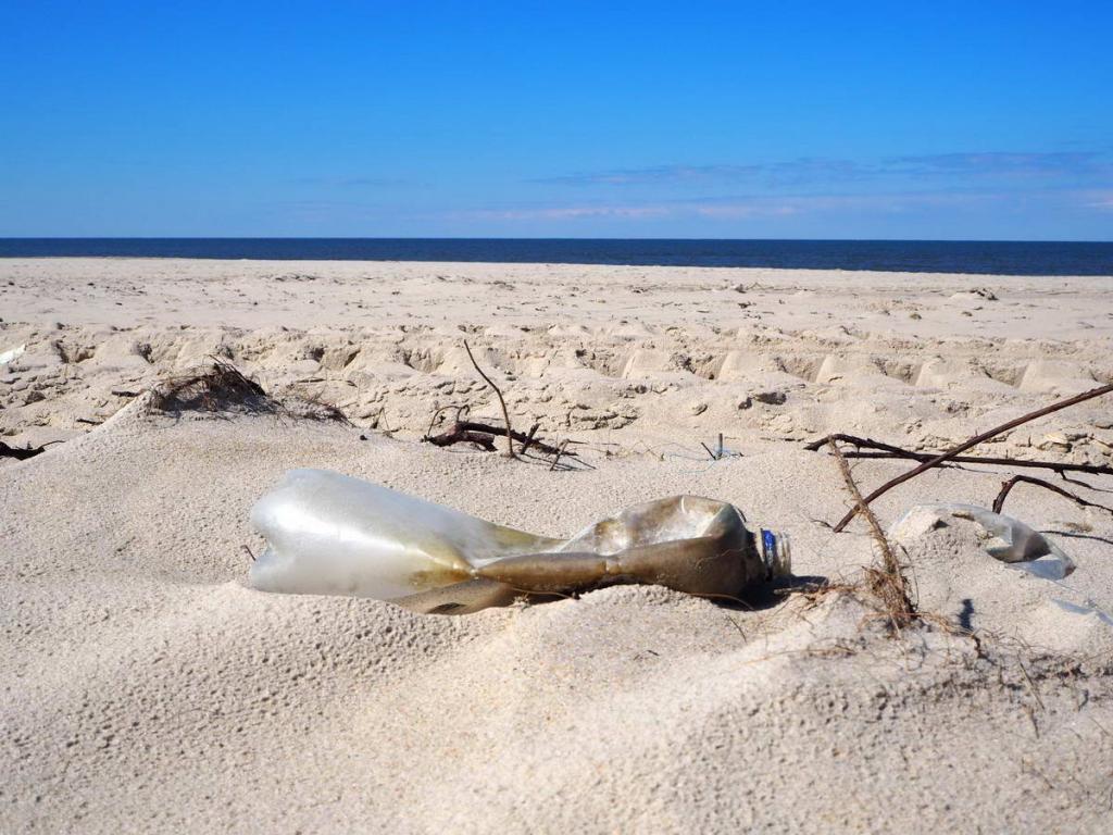 P4190010_klein (c) Plastic waste on the beach
(c) Olaf Klodt
