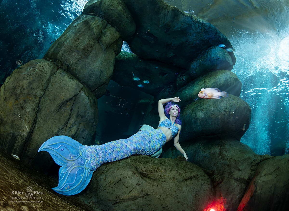 TODI indoor dive centre: Mermaid photo shooting
(c) Konstantin  (Model: Mermaid Kat)