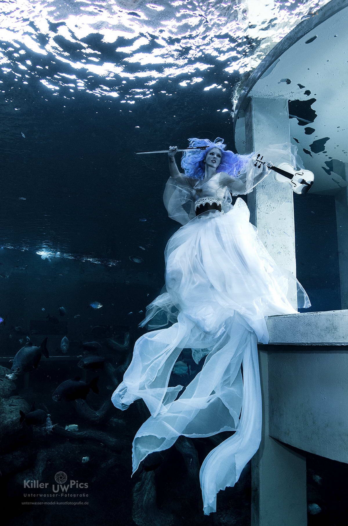 2_2 (c) TODI indoor dive centre: Mermaid photo shooting
(c) Konstantin Killer (Model: Mermaid Kat)