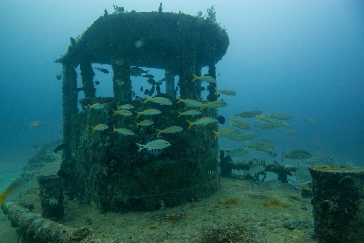 7 (c) Wreck diving in Grenada