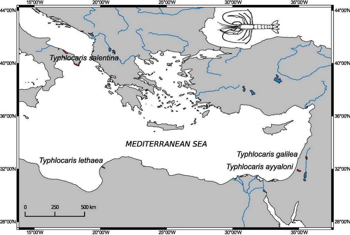 Occurrence of Typhlocaris in the Mediterranean, map (Guy Haim et al. (2018))