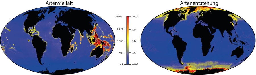 Global maps of biodiversity (left) and speciation (right). According to Rabosky et al., 2018