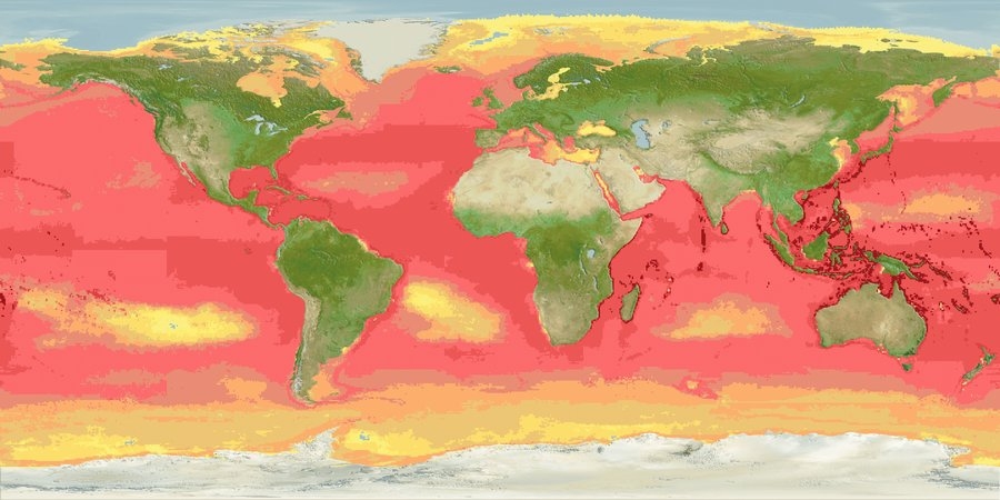 Global species number of bony fishes, with over 3,000 species in coral reefs in the tropics (dark red) and less than 50 species in the polar seas (yellow), Source: www.aquamaps.org