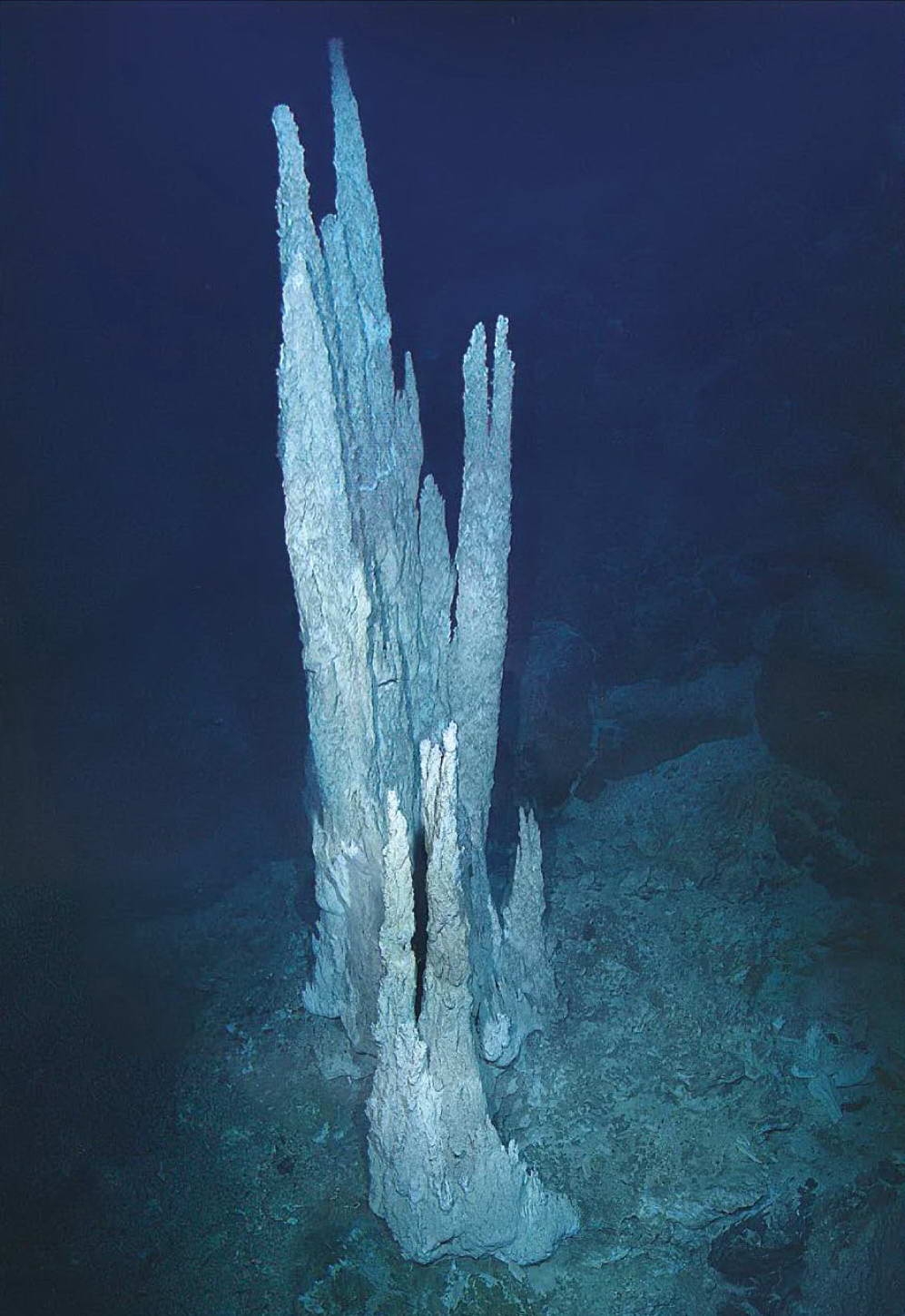 A smoker in the atlantic deep-sea (c) IUCN