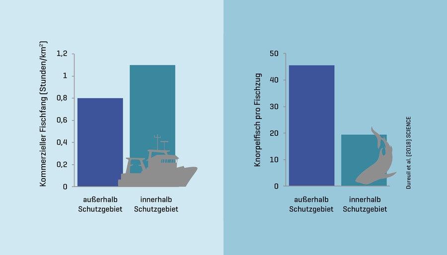 grafik (c) Commercial fishing (left) and catches of cartilaginous fish (right) outside and within protected areas, graphic: © M. Dureuil, Dalhousie Univ.