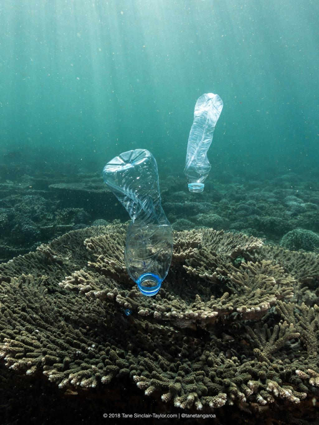 Plastic Pollution in Oman, Gulf or Arabia. (c) Plastikmüll (c) Tane Sinclair