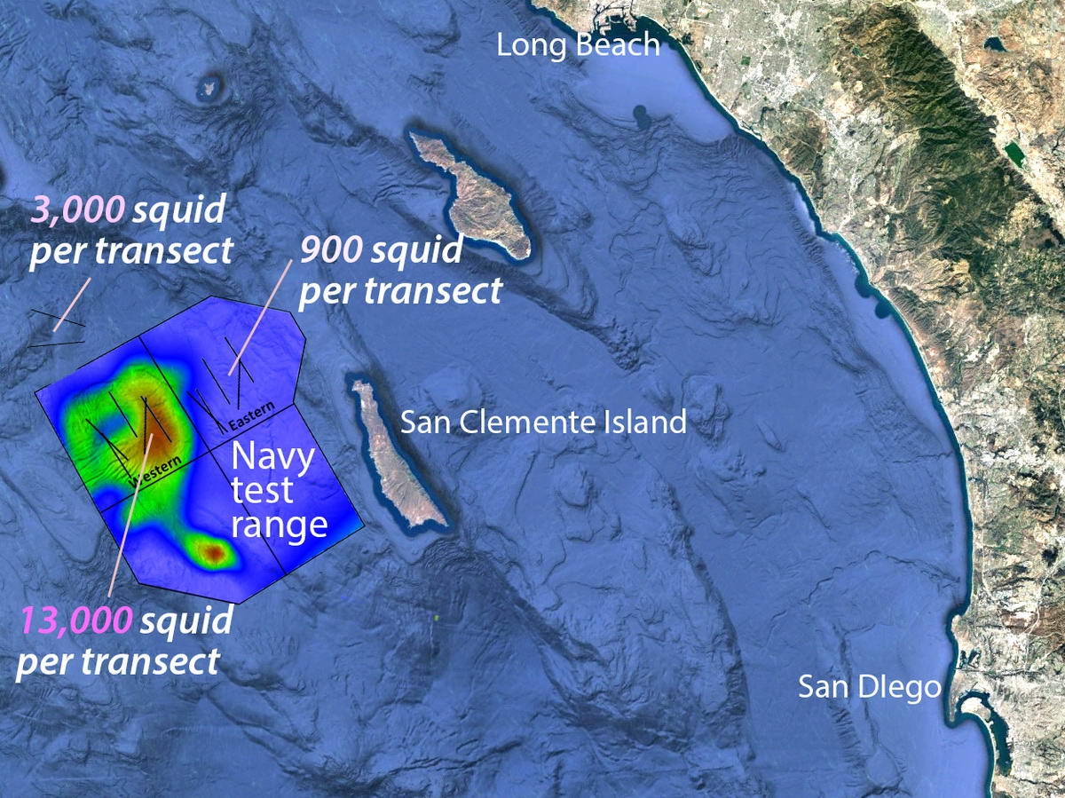 whale-map3_klein (c) The large red area on this map shows where beaked whales congregate within the Navy sonar test range off Southern California. Data collected during transects by the REMUS AUV shows that deep-sea squid are much more abundant in this region than elsewhere. (Base Image (c) Google Earth)