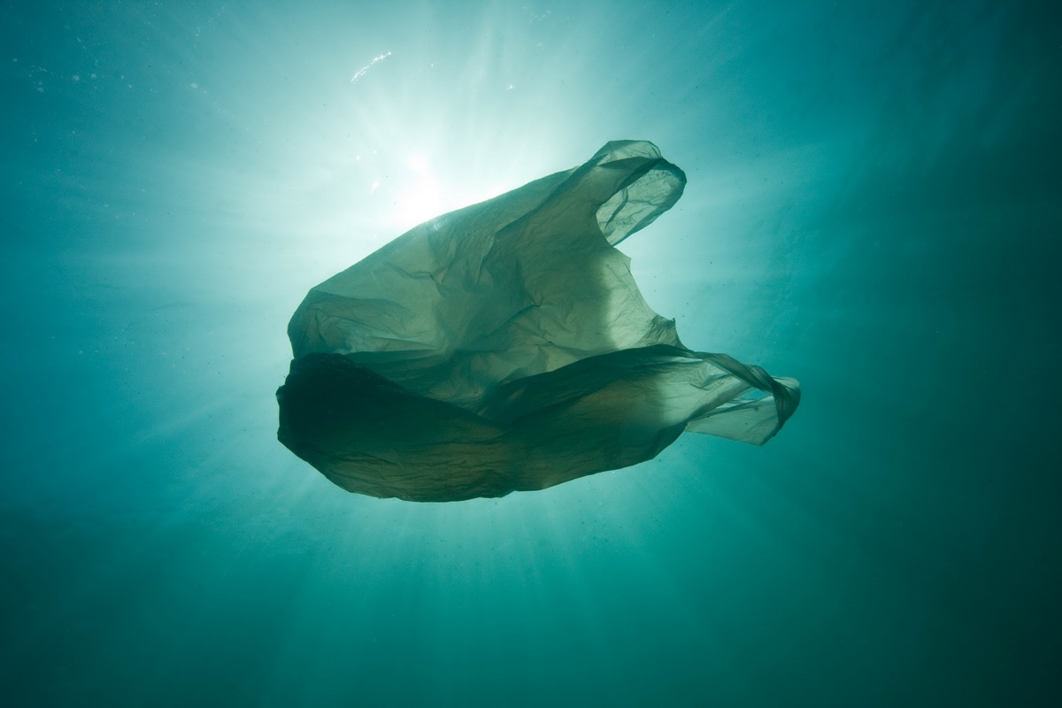 3_Original_WW267810 (c) Plastic bag floating in the sea, resembling a jellyfish swimming  Dangerous to sea turtles. (c)  naturepl.com / Sue Daly / WWF