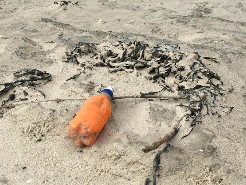 plastik-sylt1 (c) Plastic litter on the beach (c) Olaf Klodt