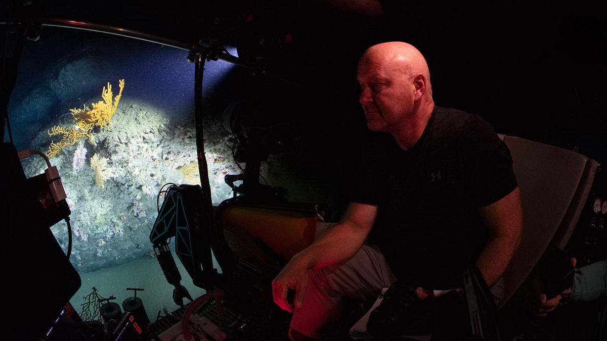 4_i8967_MYNGMEDIT_180915_00038_515115_klein (c) WHOI deep-sea biologist Tim Shank in the OceanX submersible Nadir diving in Lydonia Canyon. (c) Luis Lamar, National Geographic