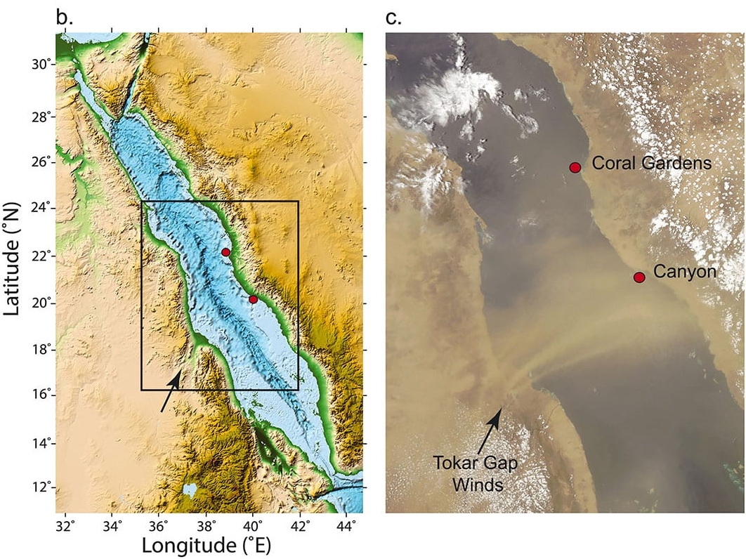 bild2 (c) Geographical setting of the studied area in the Red Sea (a and b) and NASA MODIS satellite image of July 26, 2012, showing dust from winds associated with the South Asian monsoon in relation to the two study areas  the Sahara was blown through the Tokar gap, artwork: © Bryan, et al.
