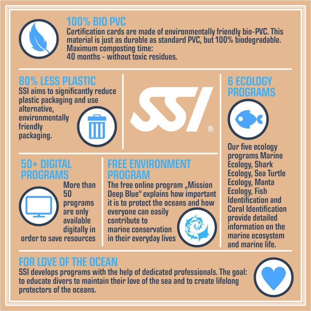 Infographic_SSI_Environment
