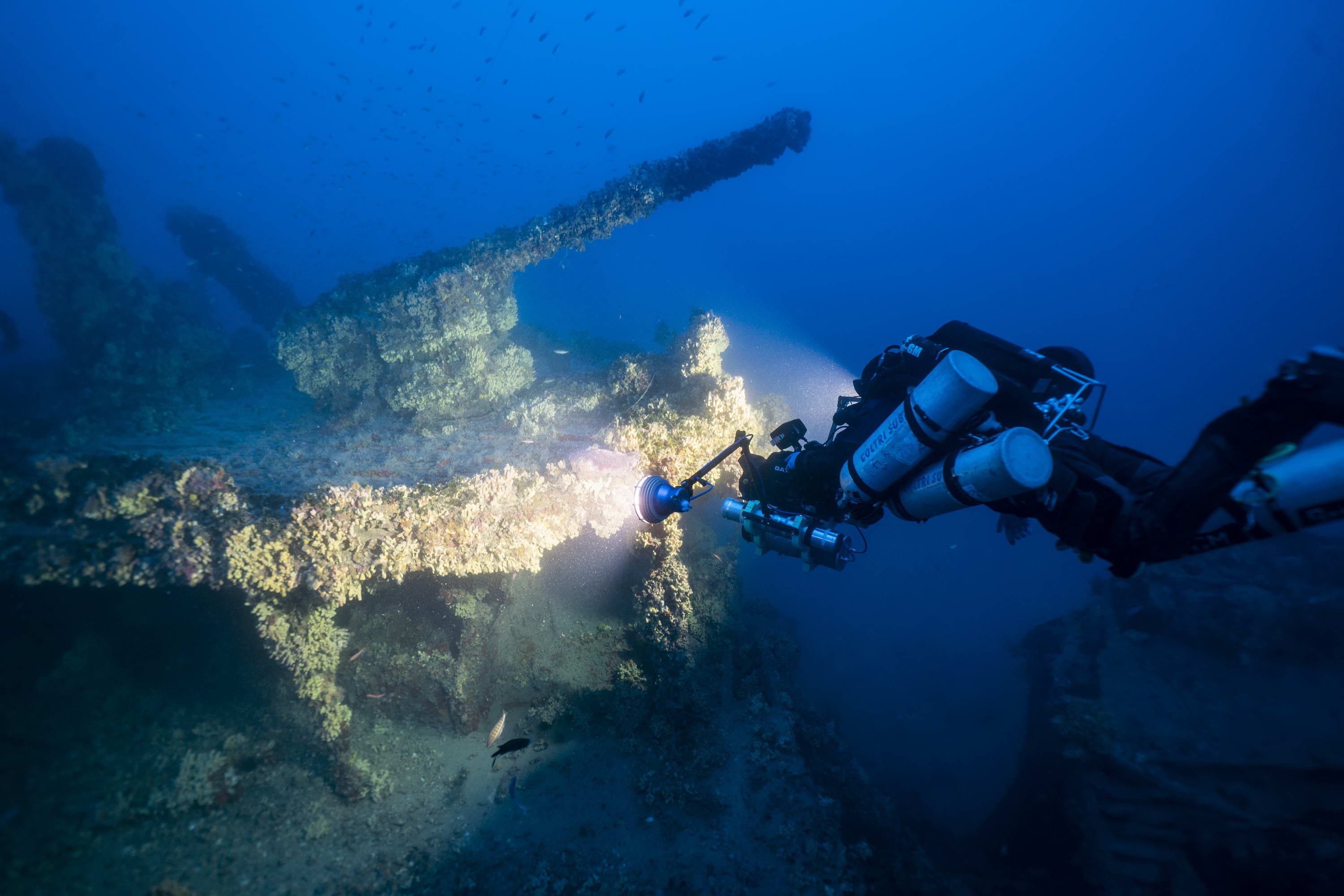 Kopie von Nasturtium_klein (c) Nasturtium  (c) Heritage Malta Wreck Dives