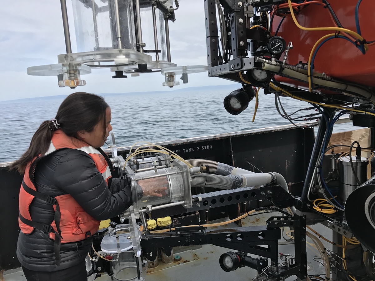 choy-anela-carson-2_klein (c) Former MBARI Postdoctoral Fellow Anela Choy led this study of microplastic. In this photo, she prepares a microplastic-sampling device mounted on MBARI’s remotely operated vehicle Ventana. (c) Susan von Thun, 2017 MBARI