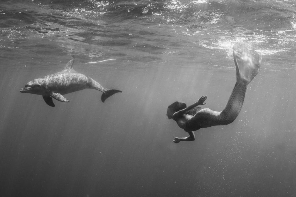 Chris Schenker / Mermaid Kat