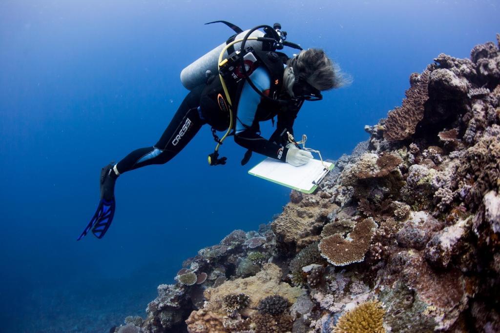 Endangered Coral Reefs (c) A marine scientist gathers data on coral reefs near Fiji for the largest ever coral study, (c) Emily Darling / WCS