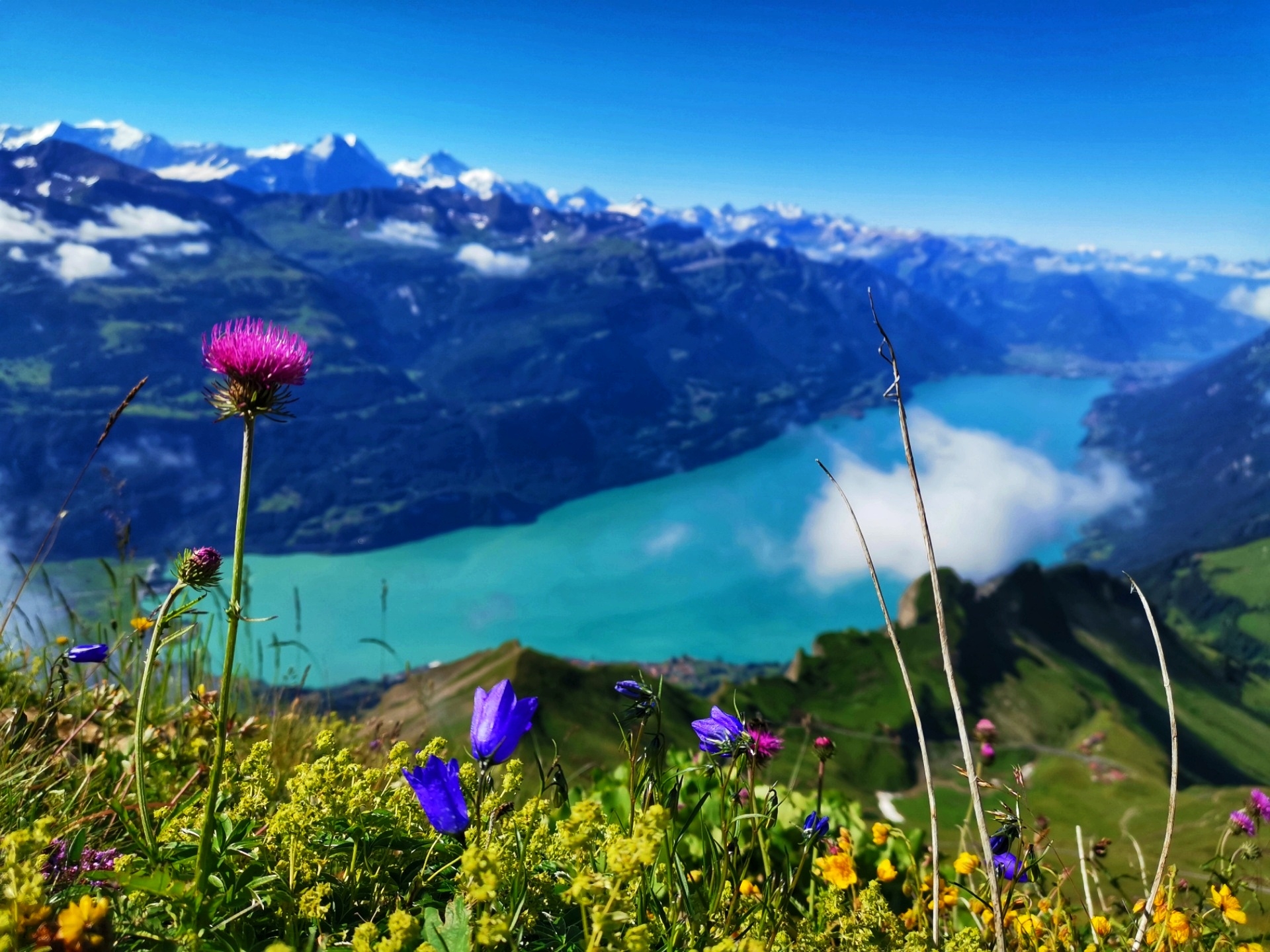 A picture book view. Lake Brienz enchants you at the foot of Eiger, Mönch and Jungfrau (c) Ariane Schild