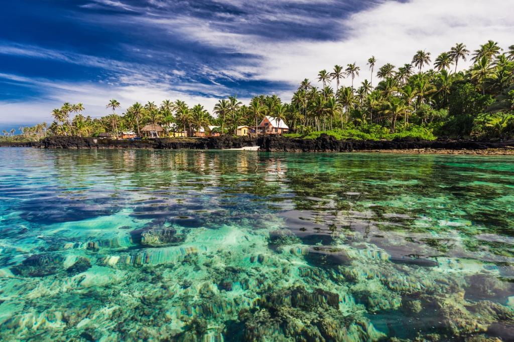 Coral reef lagoon with palm trees on the beach, south side of Upolu, Samoa (c) 
