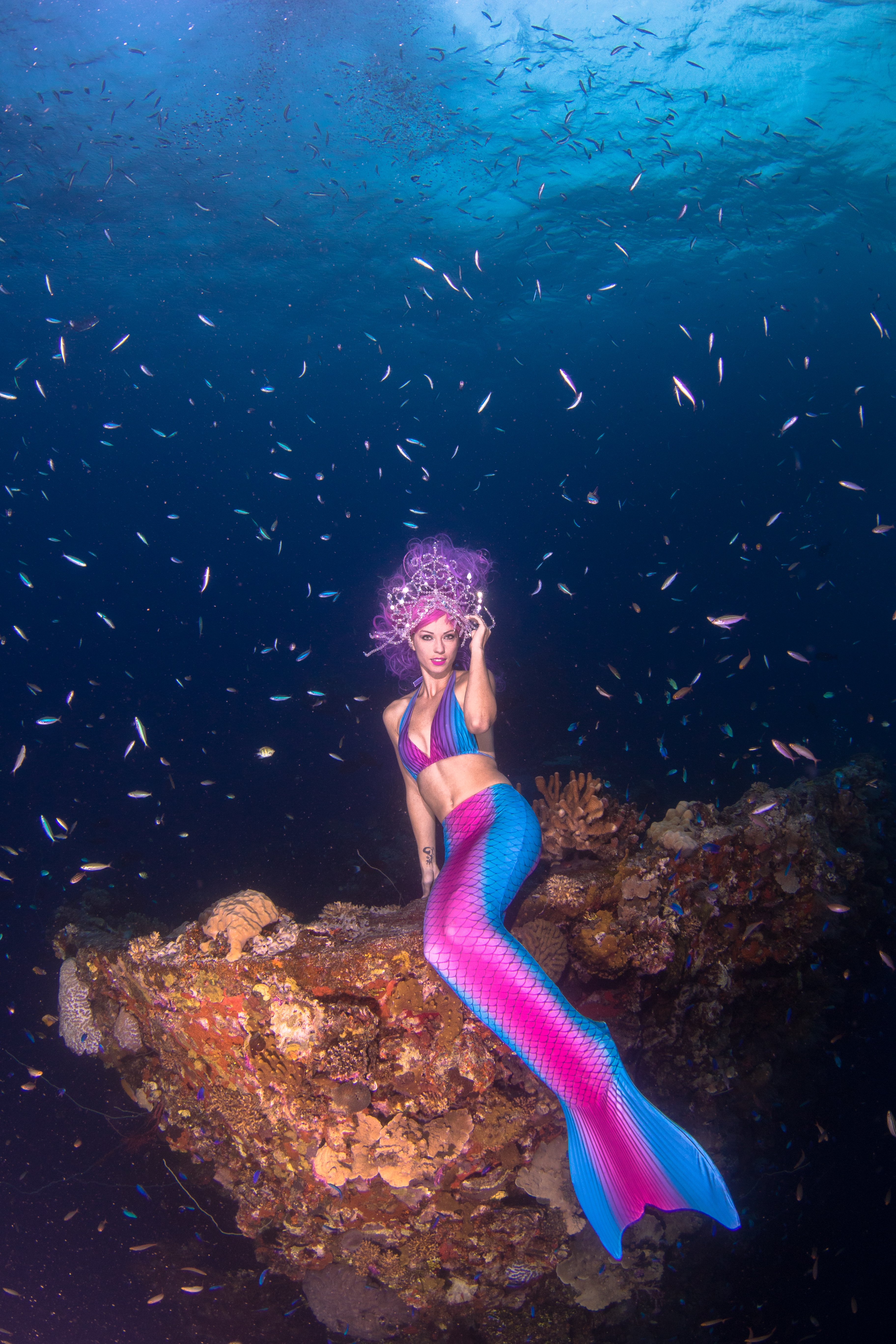 Mermaid Kat / Ian Gray