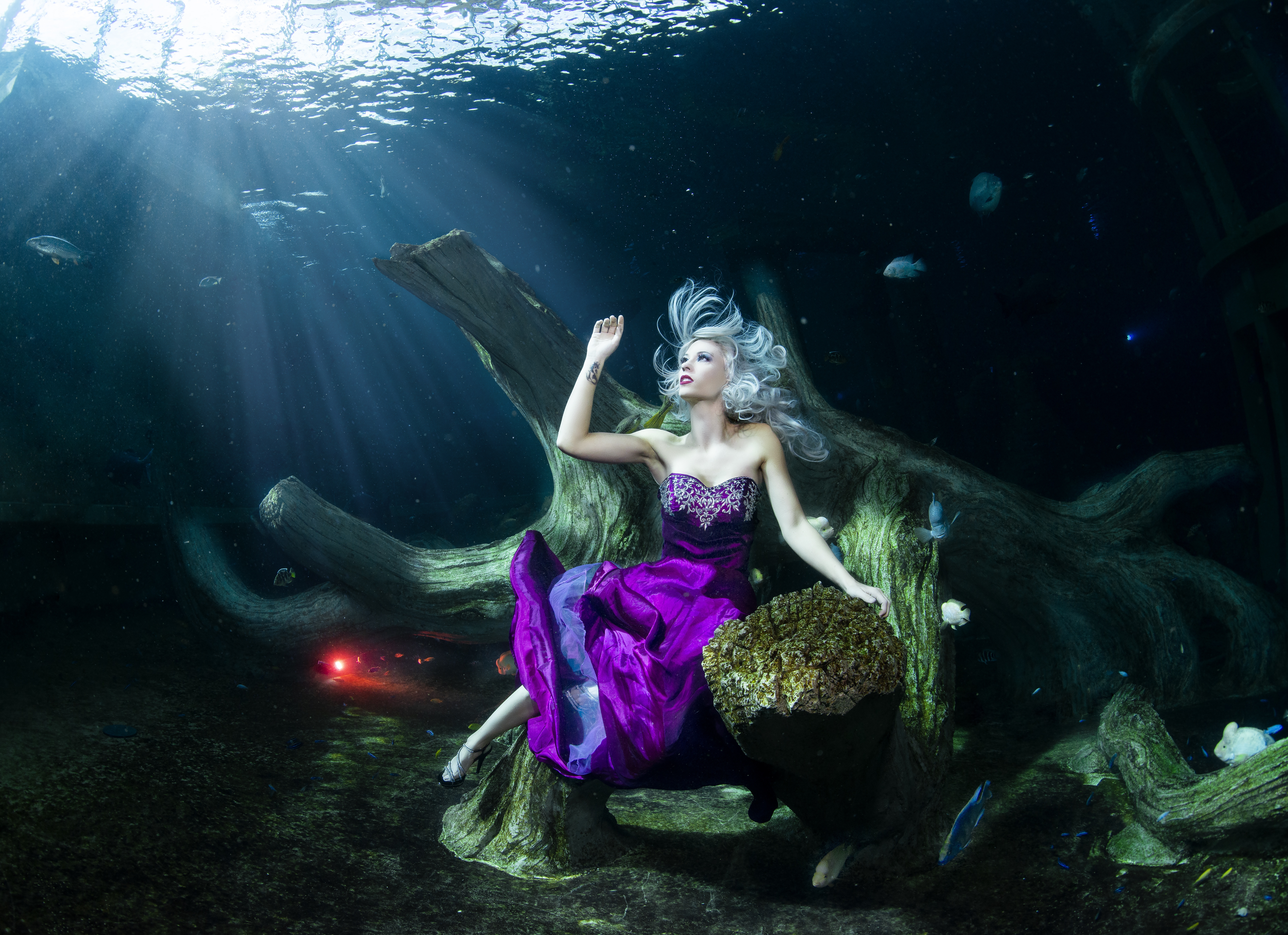 Mermaid Kat / Konstantin Killer