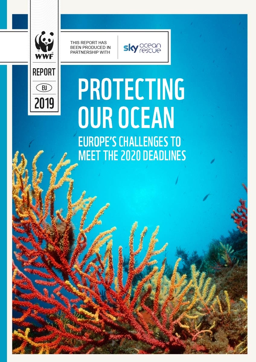 Meeresschutz_WWF-Protecting-Our-Ocean-1 (c) 