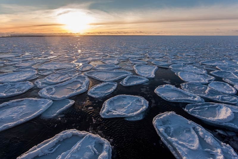 03_Mario Hoppmann_AWI (c) Pancake ice in the Weddell Sea, (c) Alfred Wegener Institute / Mario Hoppmann
