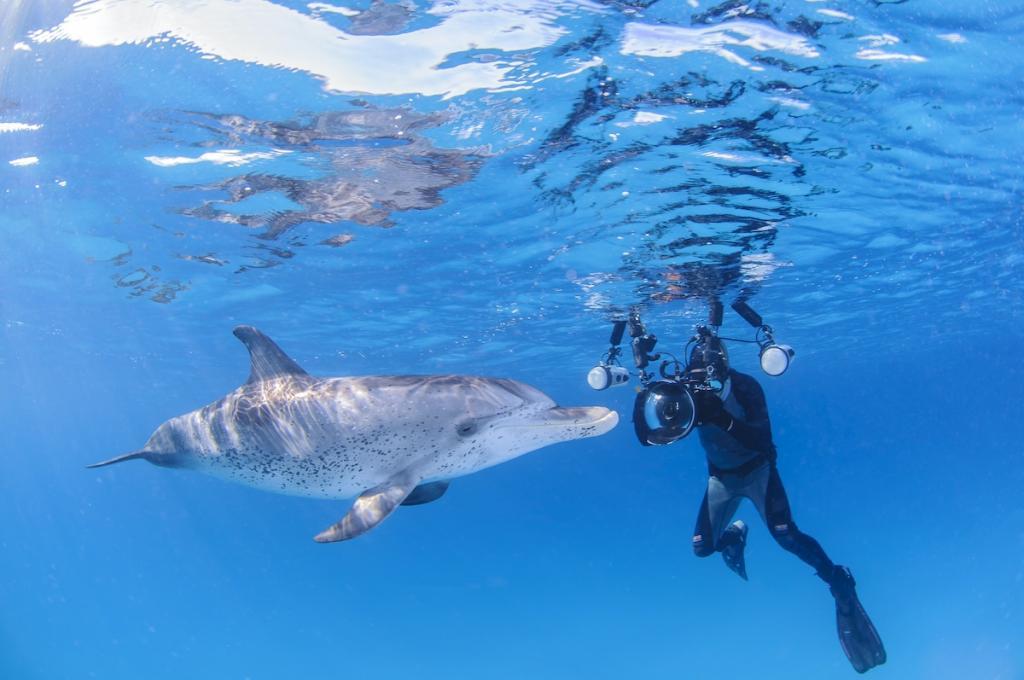 Underwater Photographer with Friendly Dolphin in Clear Waters of Bahamas