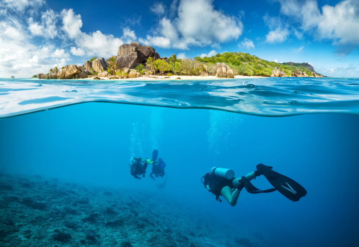 Wonderful dive destination - Divers below the surface in Seychelles exploring corals