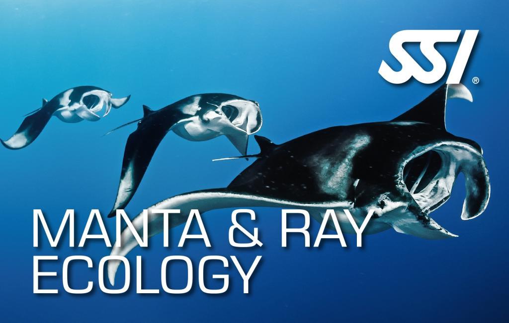 SP_MRE (c) Certification Card of Manta & Ray Ecology
